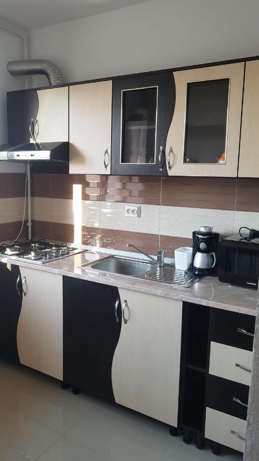 Apartament Teo Caransebes Bagian luar foto